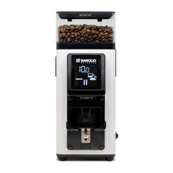 Rancilio Stile Wit